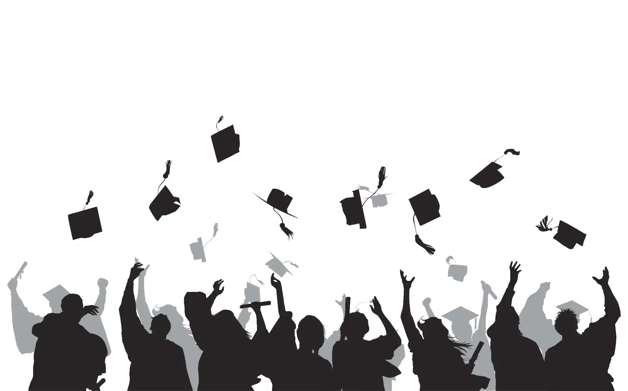  Alumni Assistance and Career Guidance in Fashion Design Colleges